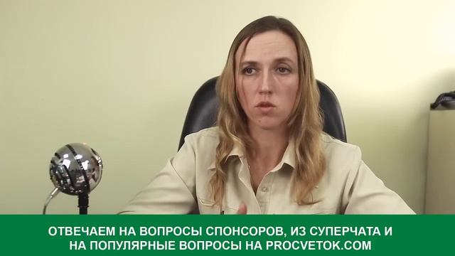 ПОДГОТОВКА САДА К ЗИМЕ: какие работы СТОИТ СДЕЛАТЬ, а от каких лучше отказаться