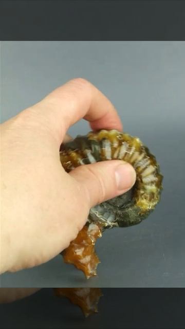 Аммонит трактор 1280