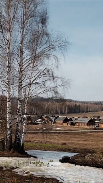 Зимний пейзаж деревни в России #природа #видео #село