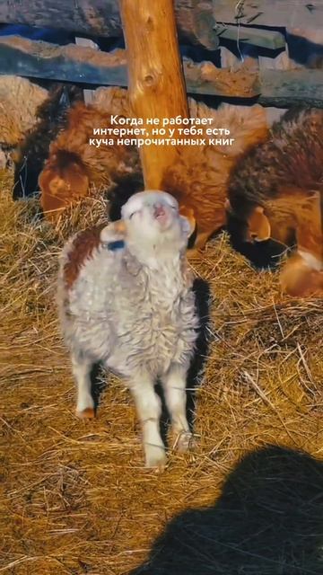 А у вас много непрочитанных?)