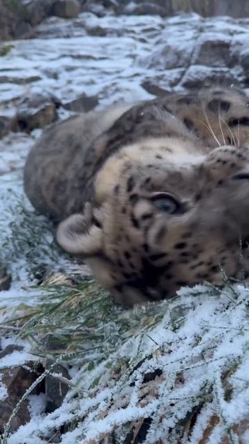 Доброе утро