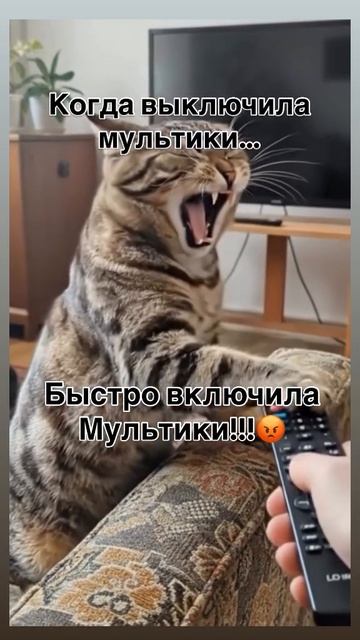 Video_2026-02-21_13-44-44