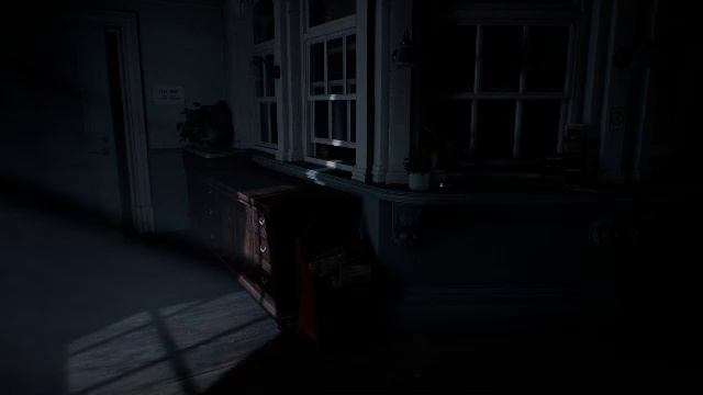 DYING LIGHT The Beast