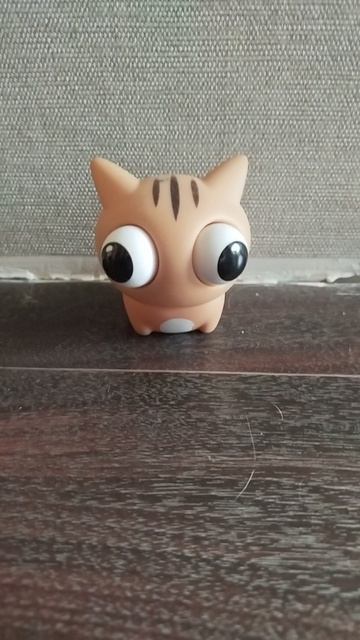 фотосессия котика