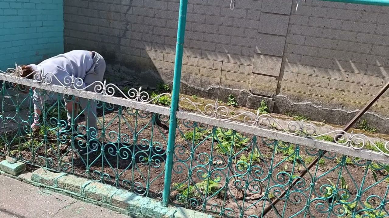 Официально Я- ЗЕМЕЛЬНЫЕ  ДЕЛА