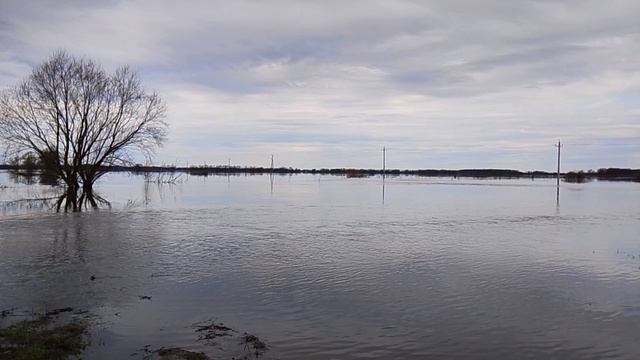 Разлив, вода снова прибывает.Видео снято 16.04.26г.
