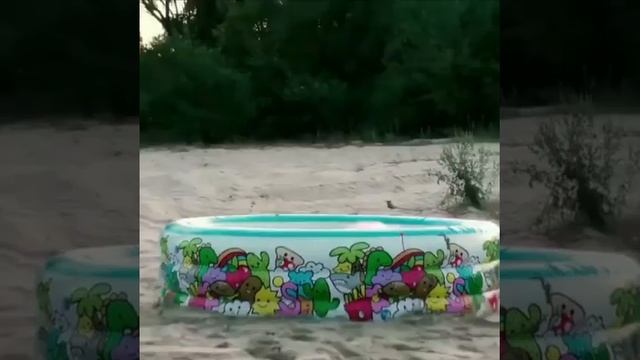 Опыт в бассейне 🫧