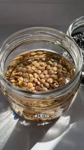 КАК ПРОРАСТИТЬ ЧЕЧЕВИЦУ. Подробности в закрепленном комментарии✔️