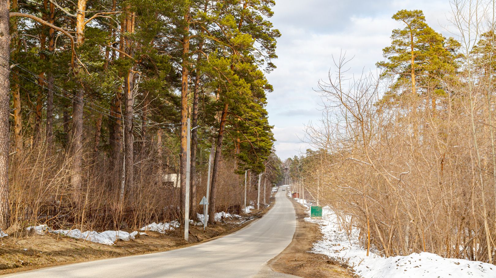 Таргай Лесная
