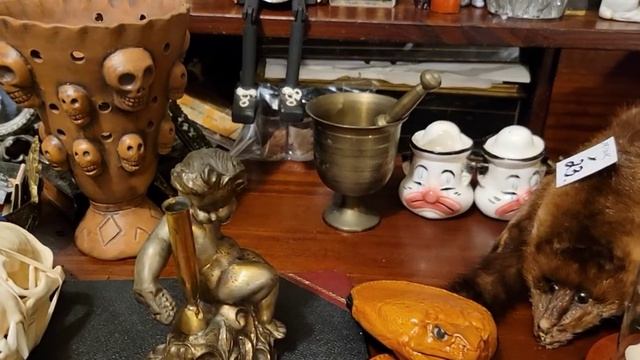 Oddities And Curiosities Expo Haul⧸ Plus A Giveaway! #oddities #curiosities