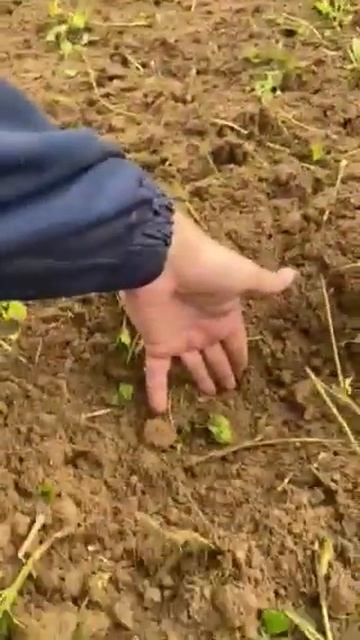 Владимирец Т-25 C фрезой Kerland 1.6