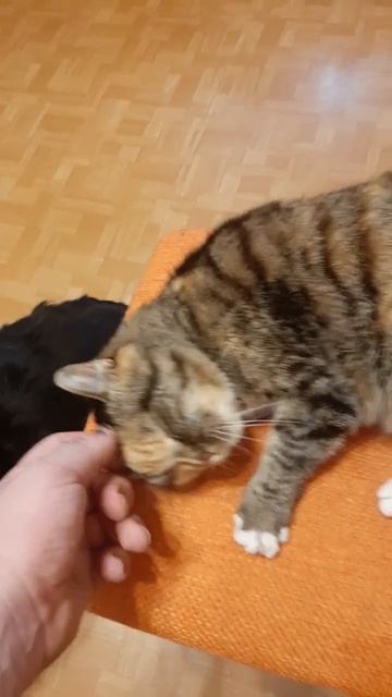 6 ноября 2024 г.