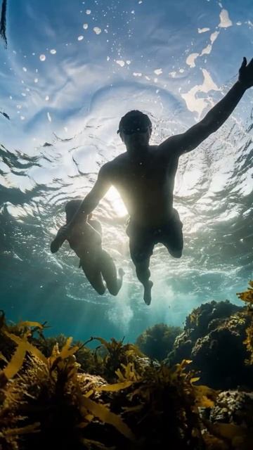 Внутрення опора и щедрость