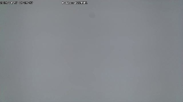 LIVE: Channel43489494