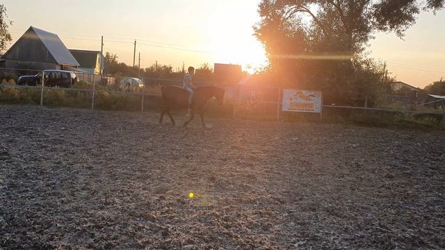 8 сентября 2024 г.