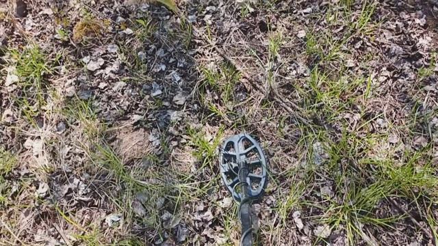 Что можно найти на обычном поле