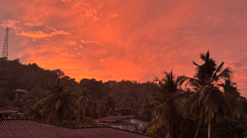 1 день на Шри Ланке
