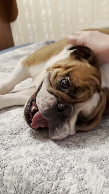 Отдыхательные игры