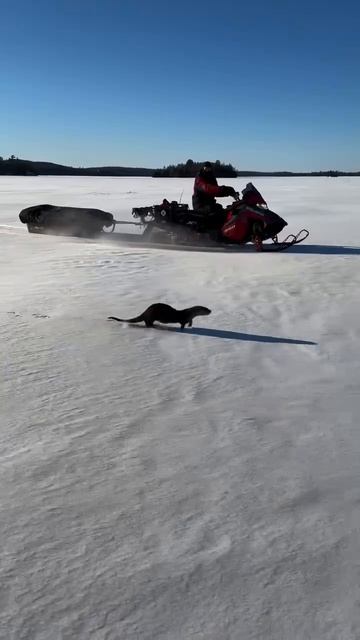 Video_2026-02-21_12-40-39