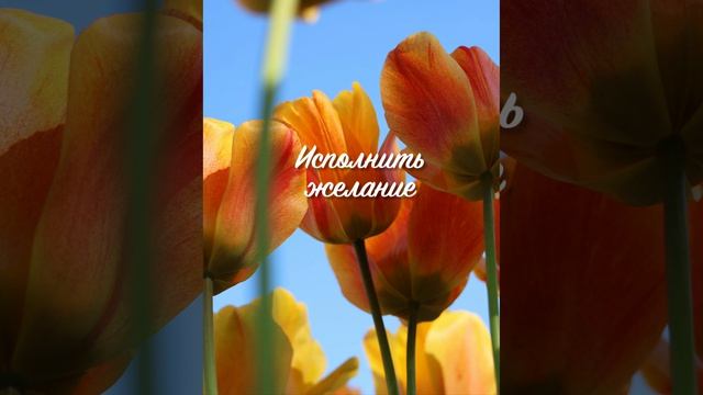 Чтобы ваше желание сбылось