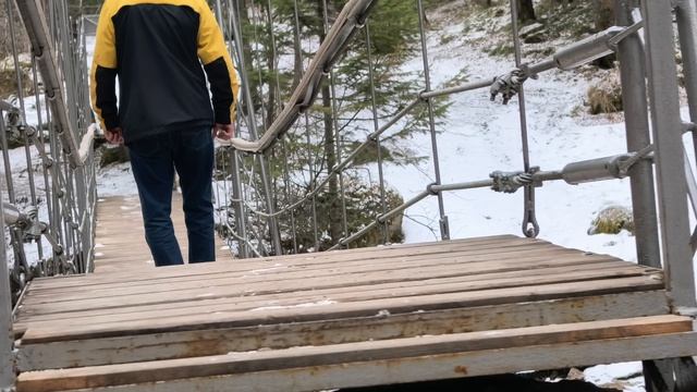 БЕЛОКУРИХА, ЛИТВИНОВ МОСТ