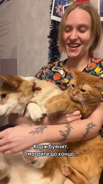 Больше смешных моментов уже в профиле, подписывайся!