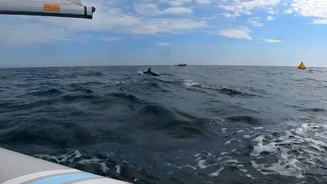 Сочинская регата 2026 класс 420 Insta360