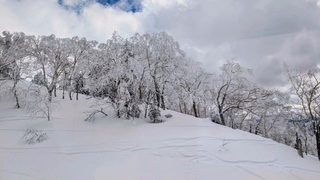 76.А из нашего окна холодная краса видна!