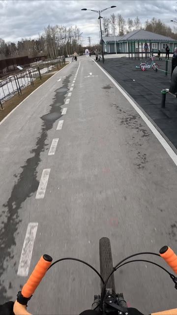 Полный круг Затюменского экопарка