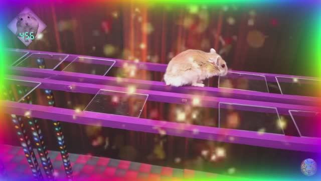 Хомяк против кальмара! Игровой вызов. часть 1