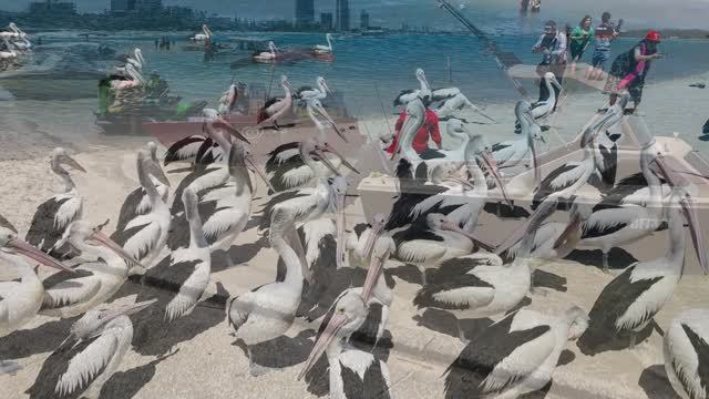 Adbde53e137009c2d881ea53fecbc2f9