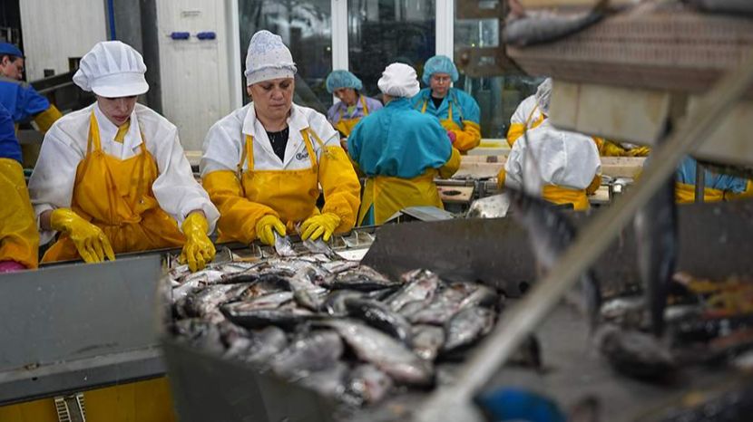 В России установили новый ГОСТ на рыбные консервы