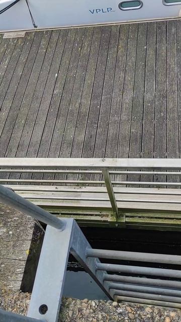 Гости приехали 