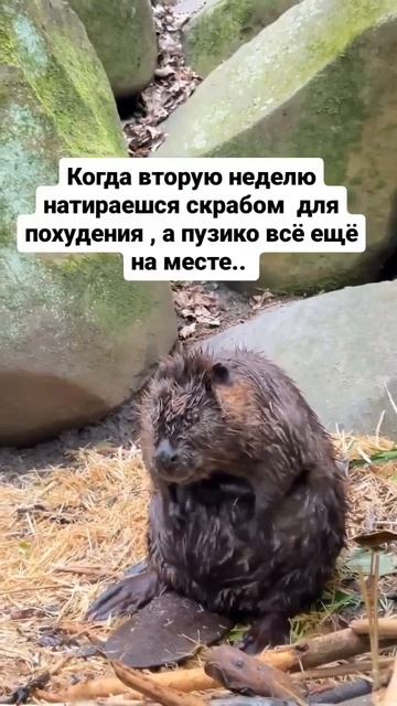 У кого так же?😀