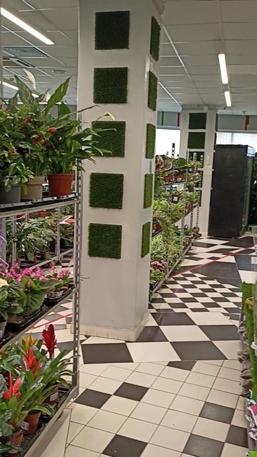 Цветочная красота радует душу