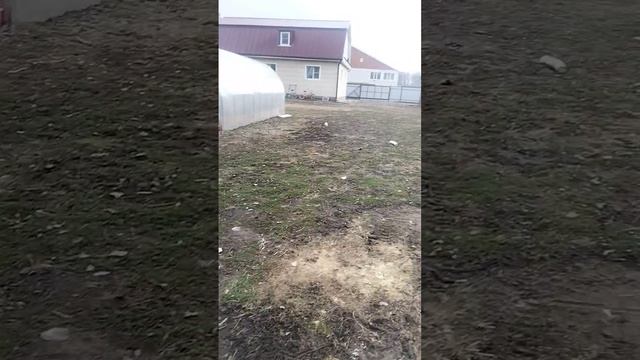 видео про улицу