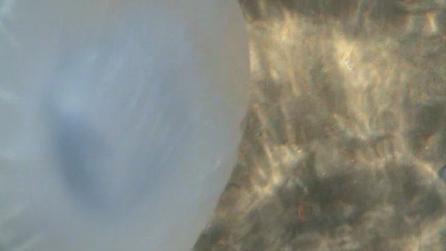 40М ДЖЕМЕТЕ МЕДУЗА