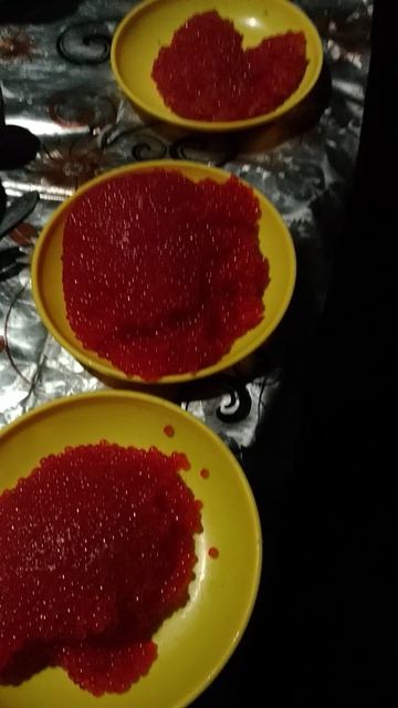 Рыбалка на камчатской реке Быстрая часть 5