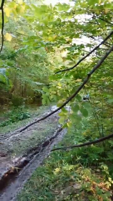 нива и луаз в обьезд где драли патриота двумя уазами