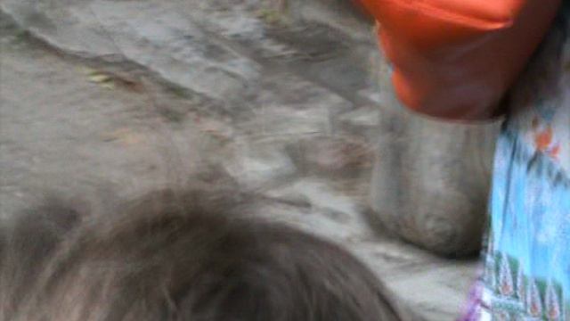 53)О БЕРЕНДЕЕВОЕ ЦАРСТВО