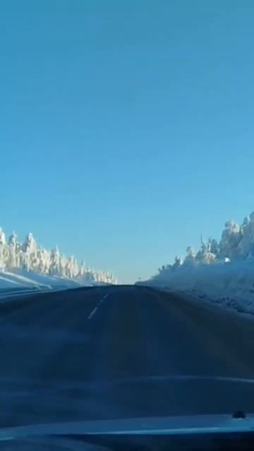 Королева снежная