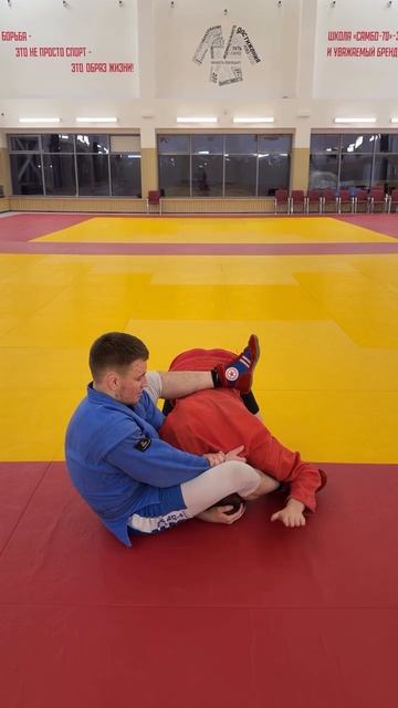 Болевой на плечо