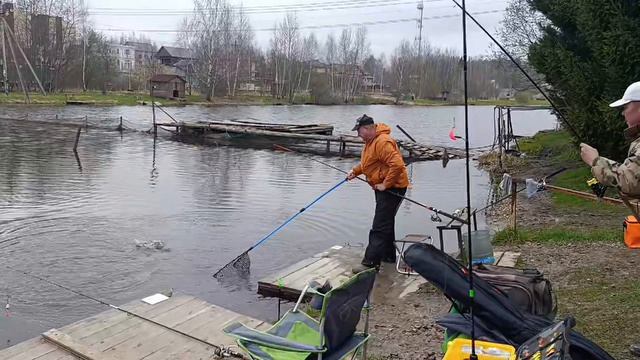 Светлые Горы Форель19 18.04.2026г.