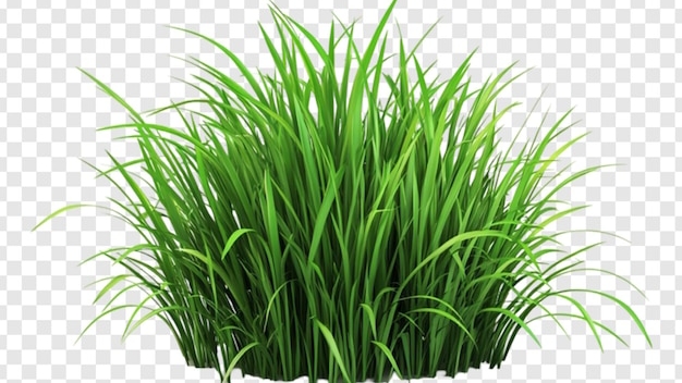 Minecraft обновление 26.1.mp4