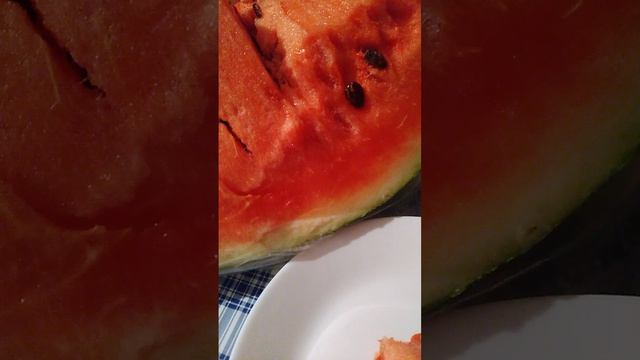 АРБУЗ !!!  КУПИЛИ ЛЕТОМ  ОТКРЫЛИ ЗИМОЙ!!!