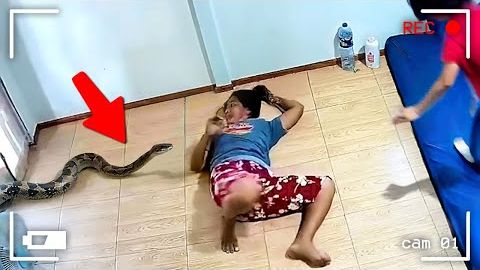 100 НЕВЕРОЯТНЫХ МОМЕНТОВ СНЯТЫХ НА КАМЕРЫ НАБЛЮДЕНИЯ