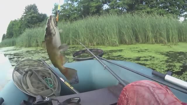 в поисках ЛИНЯ НА ПОПЛАВОК.