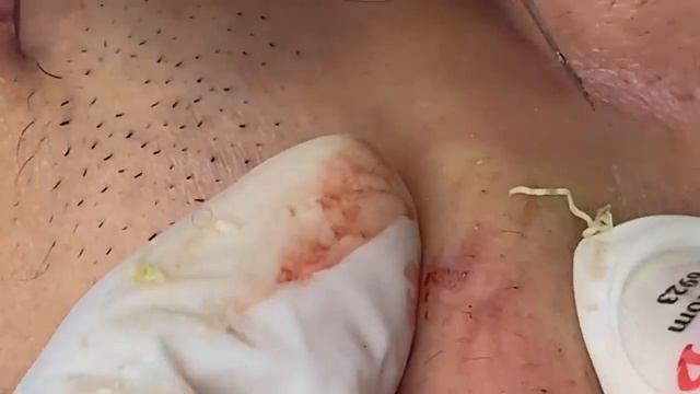 0bd13844860c906b462551537b55b972