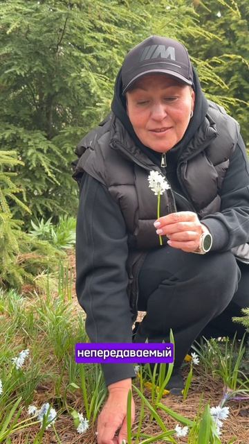 Топ 3 первоцвета!