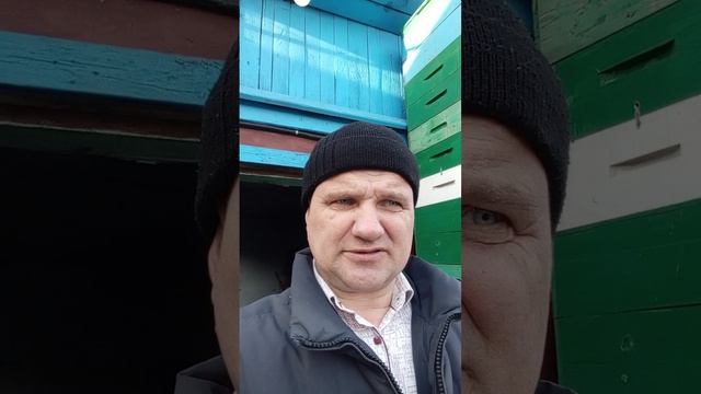 18 апреля 26 год обработка пчёл от клеща